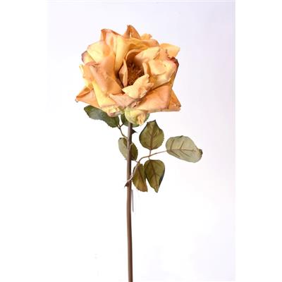 Dried Open Rose Stem 22" Yellow