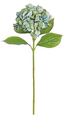 Hydrangea Sage/Blue