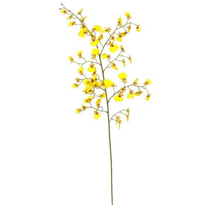 Orchid Dancing Oncidium 36" Yellow