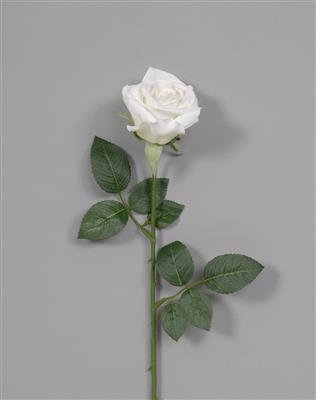 Sylvia Rose 25.5" White