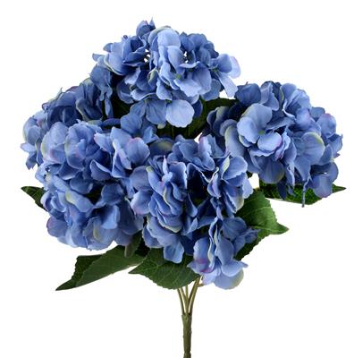 Hydrangea Bush x5 18" Blue