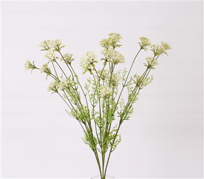 Queen Anne's Lace 22" Wh