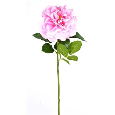 Wild Rose Stem 25.5" Pink