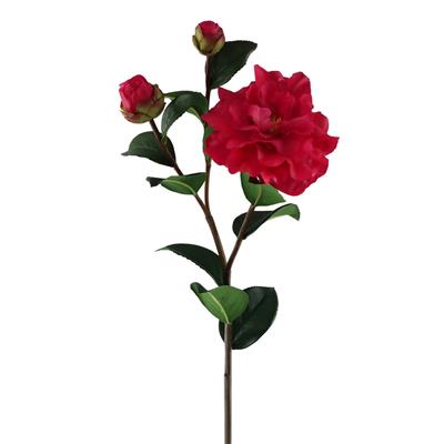 Camellia Stem 28.5" Beauty