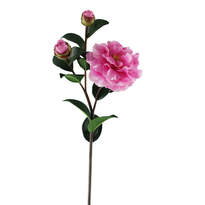 Camellia Stem 28.5" Orchid
