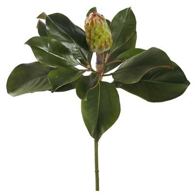 Magnolia Bud 21" Green