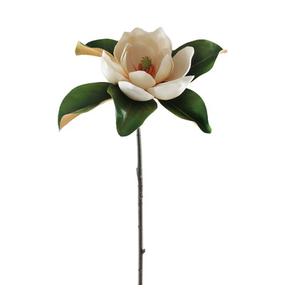 Magnolia Stem 33.5" Beige