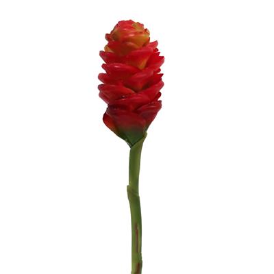 Ginger Cone 24" Red