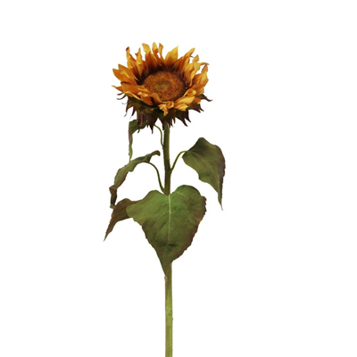 Sunflower Stem 30" Gold
