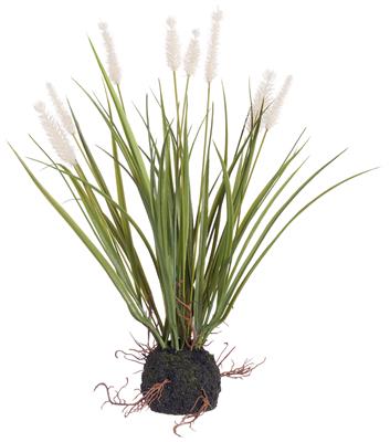 Cattail Grass w/ Soil 15" Green