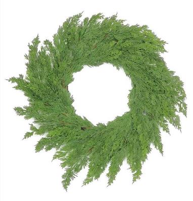 Cypress Wreath 26" Green