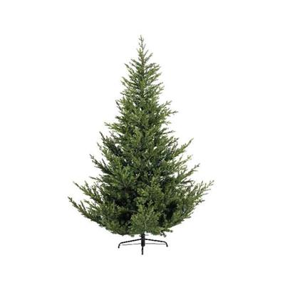 Norway Spruce MicroLED 10' Green