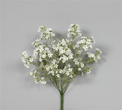 Snowed Waxflower Bush 18" Whi