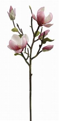 20" Magnolia Branch Fuchsia