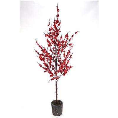 Snow Berry Tree w/Pot 54" Red