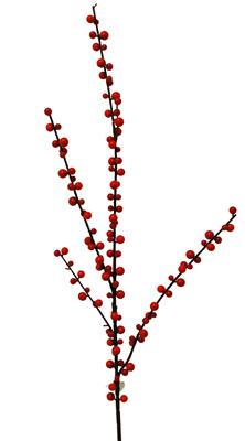 Berry Branch 29" Red