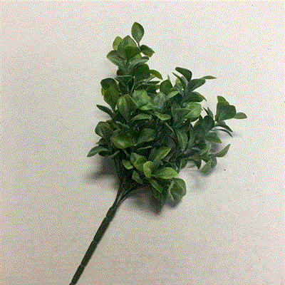 Frsoted Leaf Bush 13" Green
