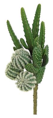 Cactus Bundle 13" Green