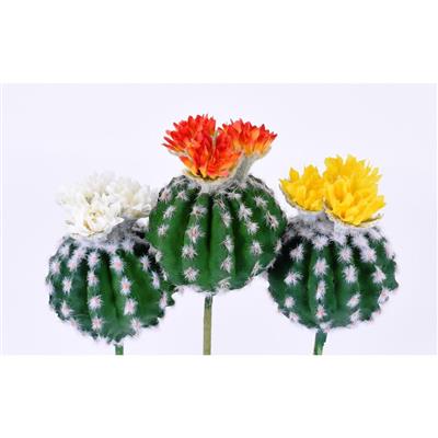 Flower Barrel Cactus 3Asst 8"