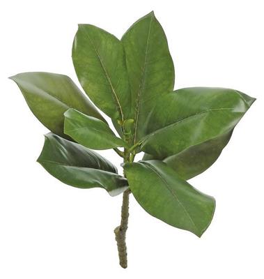 Magnolia Leaf Pick 15" Gr