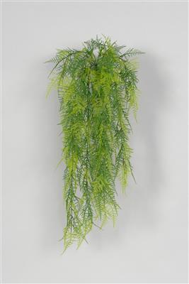 Asparagus Fern Bush 34" Green