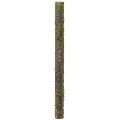 Moss Pole 40" Green