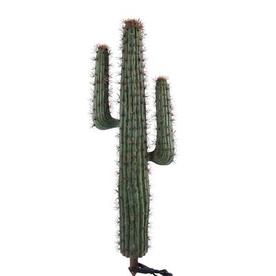 Cactus Plant 36" Green