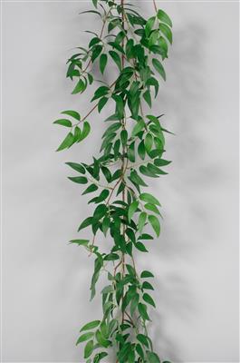 Willow Leaves Garland 66" Green