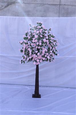 Peony Tree 9' Pink
