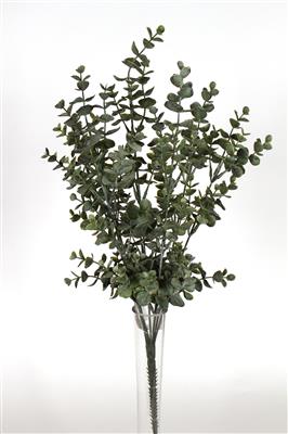 Eucalyptus Bush 21" GR