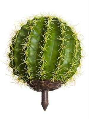 Barrel Cactus 16x13" Green