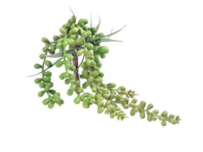 String of Pearls 13" Grn