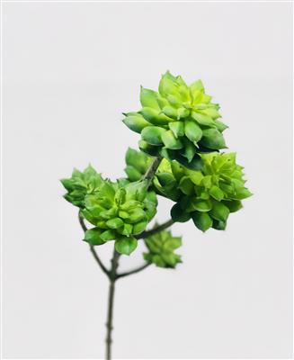 Succulent Pick 13" Green