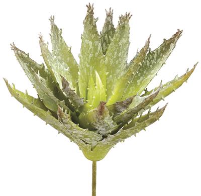 Soft Aloe Pick 6.5" GR