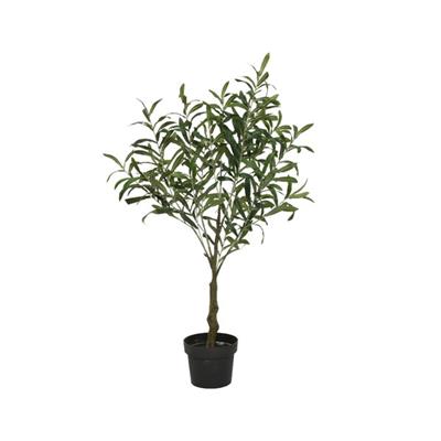 Olive Tree in Pot 35.5"