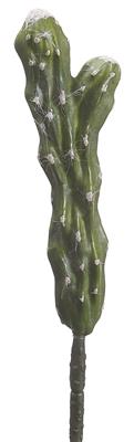 Churro Cactus 10.75" GR
