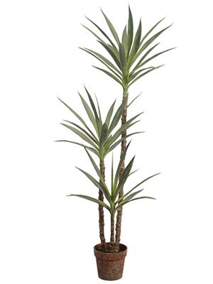 Yucca Tree in Pot 59" Green 