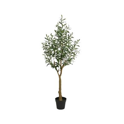 Olive Tree in Fibre Pot 60" Green