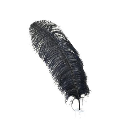 Ostridge Feather 25" Black