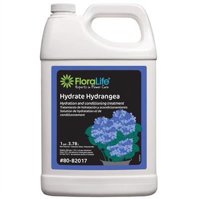 Hydrate Hydrangea 1gal