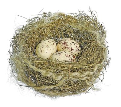 Twig Nest W/ Eggs 6" Beige