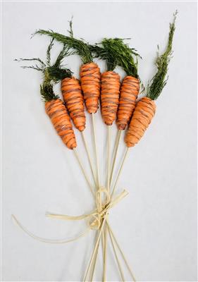 Carrot N. Pick @6 16" Orange