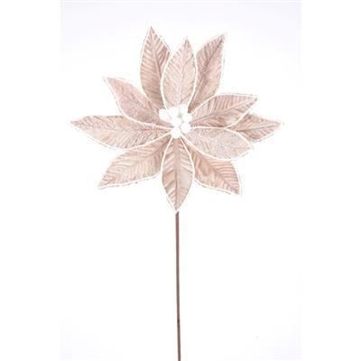 Frosted Poinsettia Stem 22" Natural