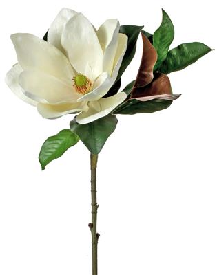 Magnolia Blossom Stem 33" White