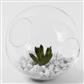 Open Orb Vase 5"x6"x2.5" Clear