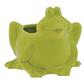 Froggy Pot 3"x 6" Green