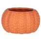 5" Pumpkin Pot Spice Knit 