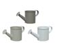 Iron Watering Can Asst 4"h
