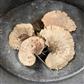 Sponge Mushroom Pick @6 Nat