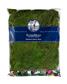 Sheet Moss 32 oz Bag Fresh Green
